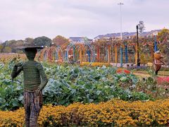 -苏州太湖西山岛开心农场