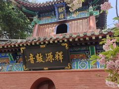 -洛阳白马寺