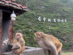 -白帝城·瞿塘峡景区