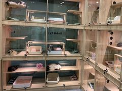 -BABIT巴比特宠物(MOMOPARK店)