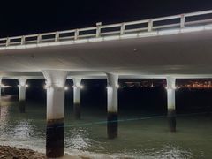 -演武大桥观景平台