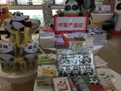 -熊猫邮局(少城店)