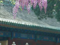-孔庙和国子监博物馆