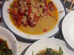 -杨氏青龙虾·羊蝎子(托乐嘉店)