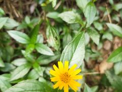 -顺风山庄(水濂山店)