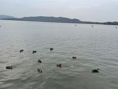 -西湖天地