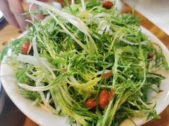 凉拌苦菊-严记小天府酸菜鱼(西四路店)