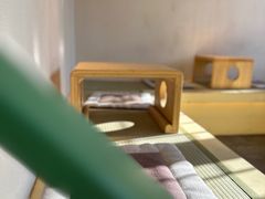 -沈阳故宫·莊啡