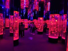 -成都浩海立方海洋公园