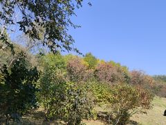 -廊坊市自然公园