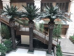 -太湖饭店·寄畅轩中餐厅