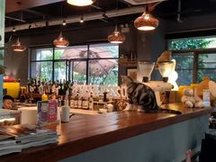 -咖法森林·咖啡  酒吧(天河店)