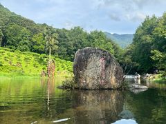 -广州市石门国家森林公园