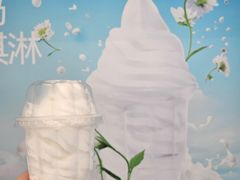 -白色日记·手作酸奶(麦凯乐店)