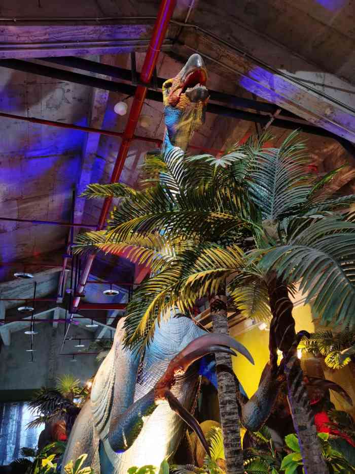 恐龙探索乐园(磁器口店)-"【印象】项目有特色 | 服务热情地方比.