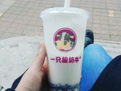 -一只酸奶牛(奎星楼店)