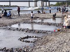 -绿堤公园
