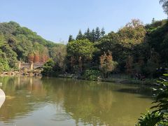 -云溪植物园