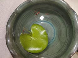 点击看大图 -自然美