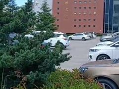 -山东外贸职业学院