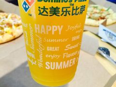 -达美乐比萨(国瑞北路店)