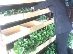 -真爱中国餐馆·年华店(朱雀大街店)