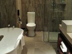 -常州环球恐龙城维景国际大酒店