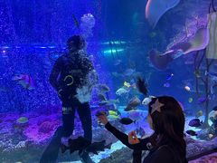 -沈阳海洋探索中心