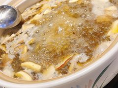 -爱膳菌锅锅(阳南店)