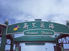 荷兰花海-荷兰花海