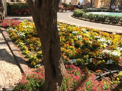 -上巴拉卡花园和下巴拉卡花园