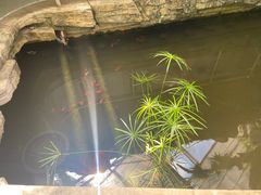 -北京植物园-展览温室