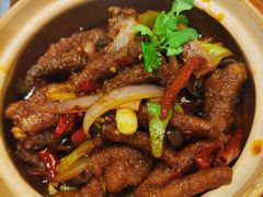 农家土鸡爪-福苗小骆驼烧烤(莲湖路店)