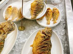 -普天和酒楼(天津之眼店)