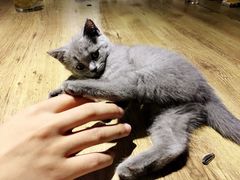 -第三空间·趣味桌游·轰趴.室内CS.剧本杀(大武汉1911店)