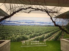 -源石酒庄