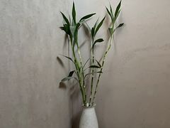 -灸春堂·专业艾灸·连锁品牌(丰潭路店)