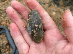 -碧桂园十里银滩