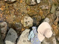 -黄公望隐居地