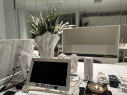 -姜美堂·蒸姜除湿の纤体美颜馆