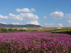 -光明小镇欢乐田园