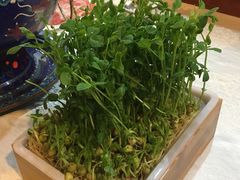 -皇城根(张杨店)