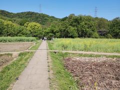 -八卦田遗址公园