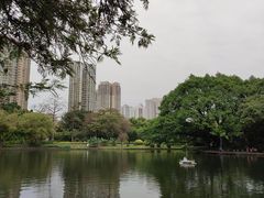-晓港公园