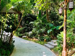 -碧桂园润杨溪谷温泉酒店