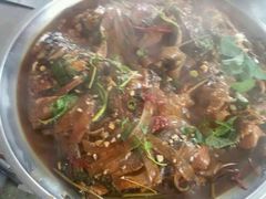 -庆岭迎宾园正宗活鱼馆