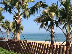 -大梅沙海滨公园