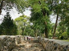-阳台山自然风景区