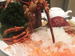 -金唐海鲜酒家