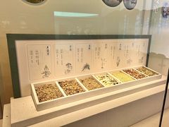 -中国湿地博物馆